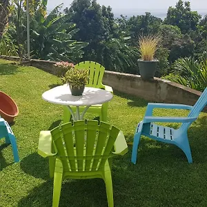 https://le-pitaya.comcaribbean.com